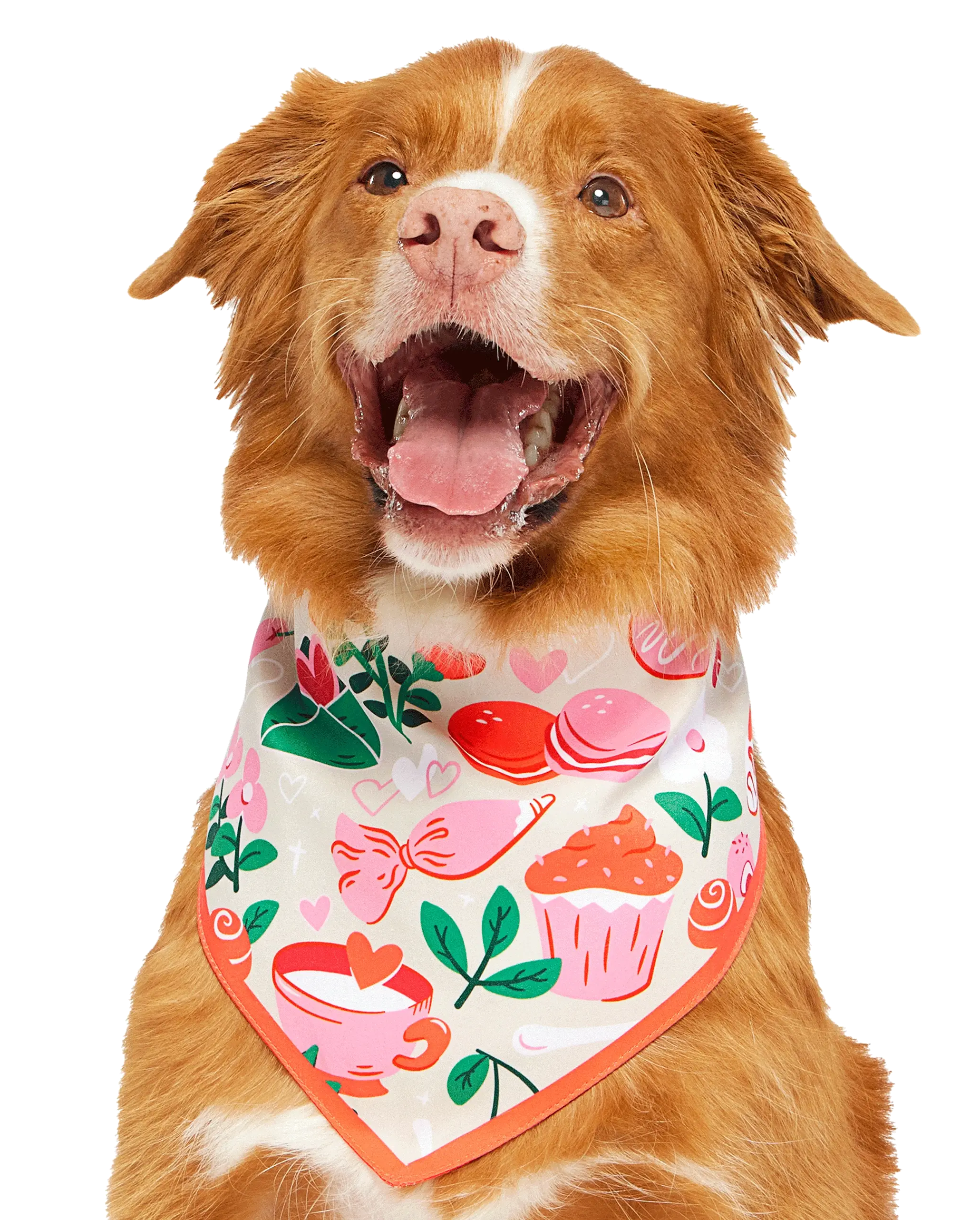 Valentine's Day Dog Bandana