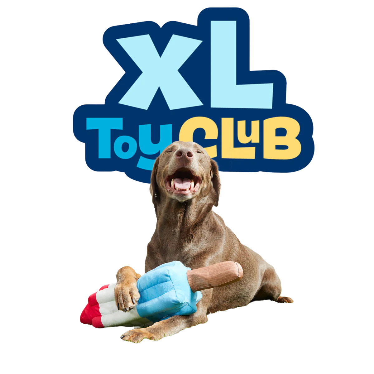 Extra-Large Toy Club, Monthly Plush Xl Dog Toys