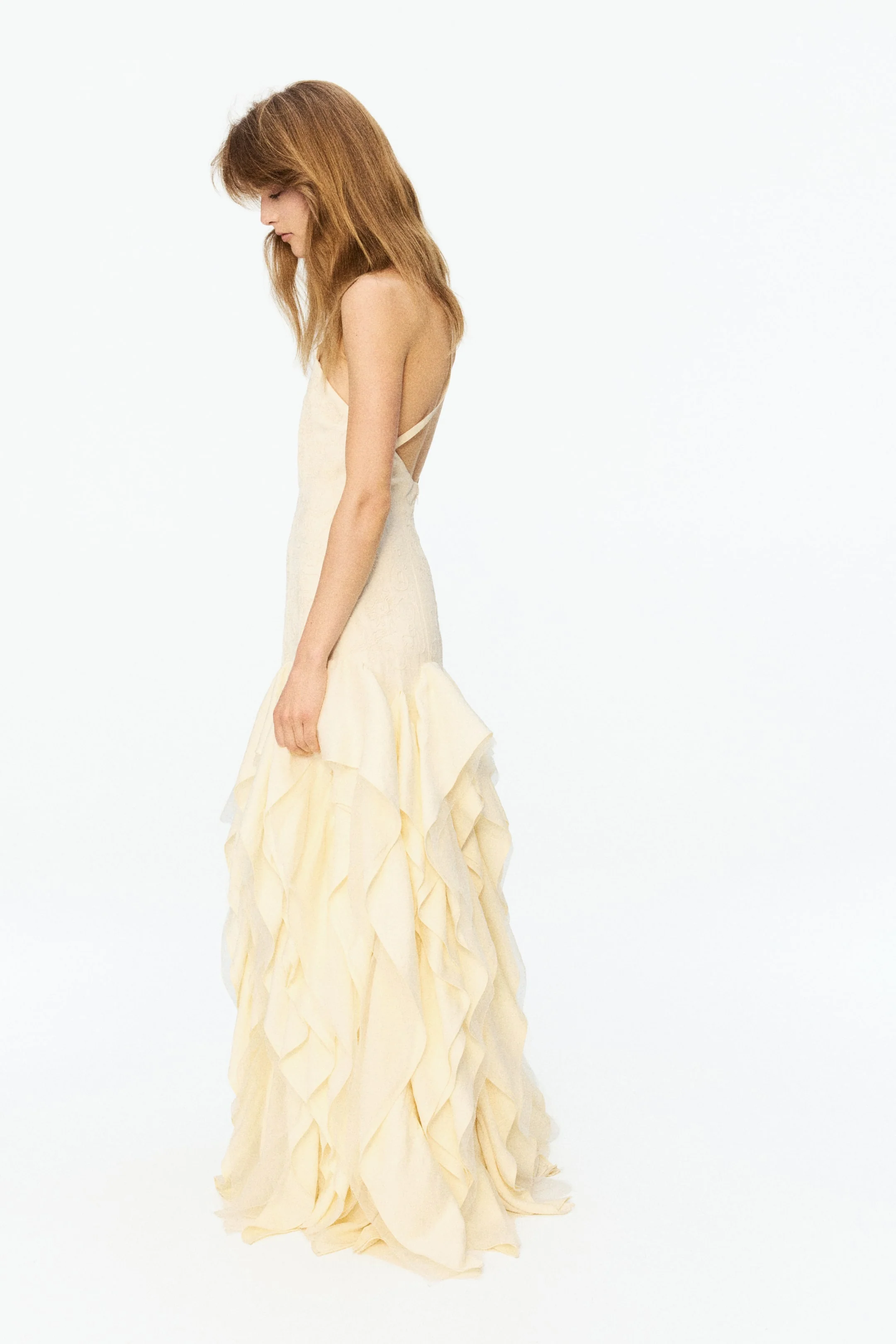 Ruffled Embroidered Dress