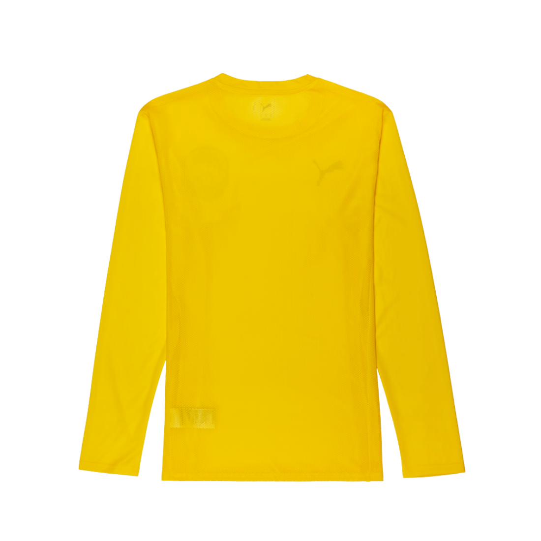 PUMA FAM Harimau Malaya teamGOAL Men Jersey Yellow 946497 07