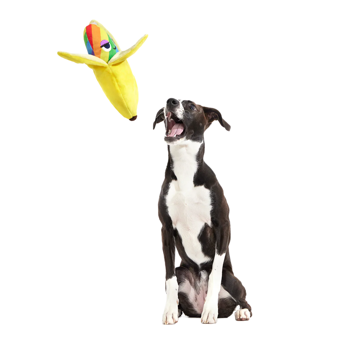 Top Banana Plush Multi-Part Dog Toy