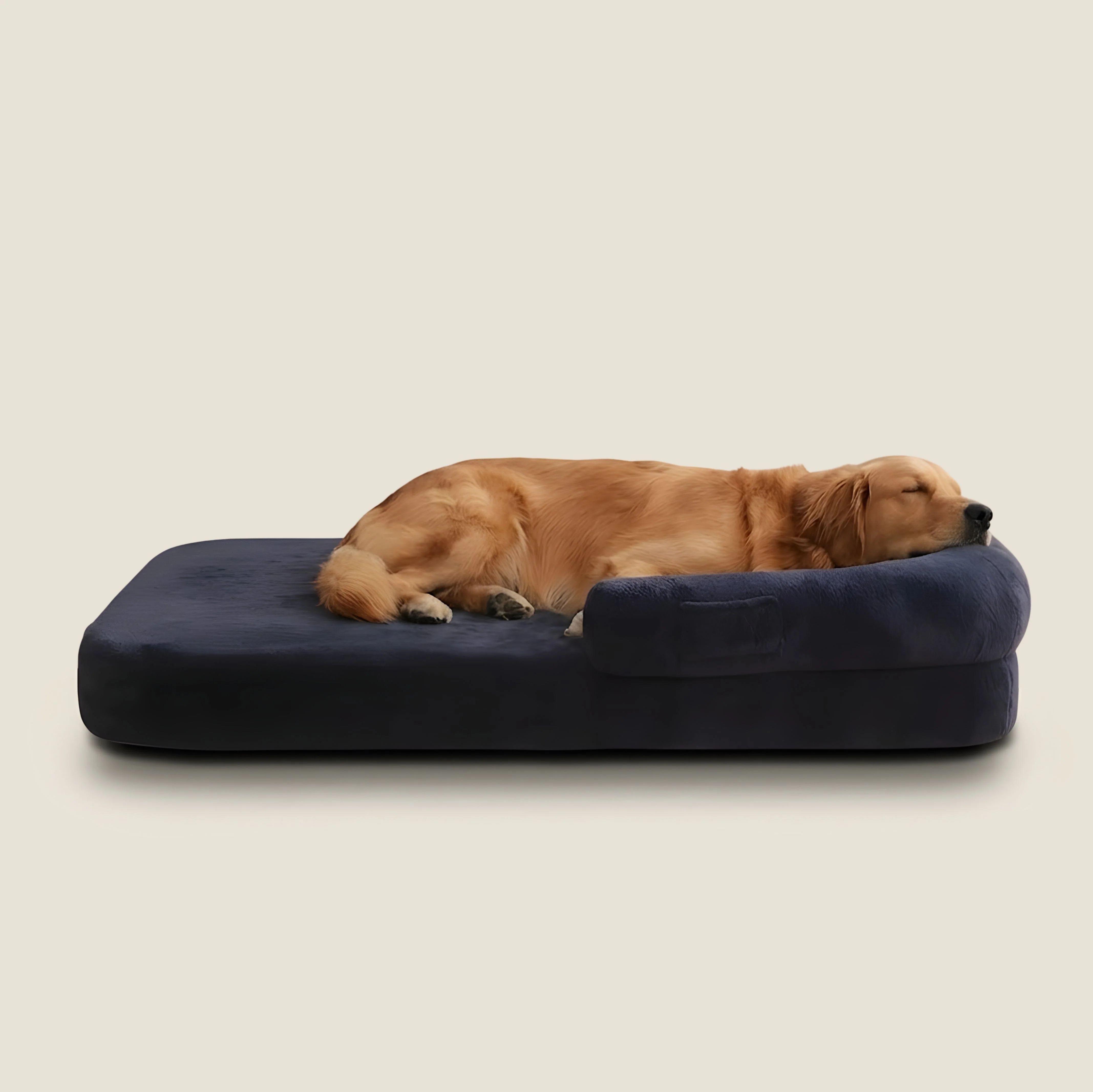 Orthopedic Human-Size Dog Bed - Navy