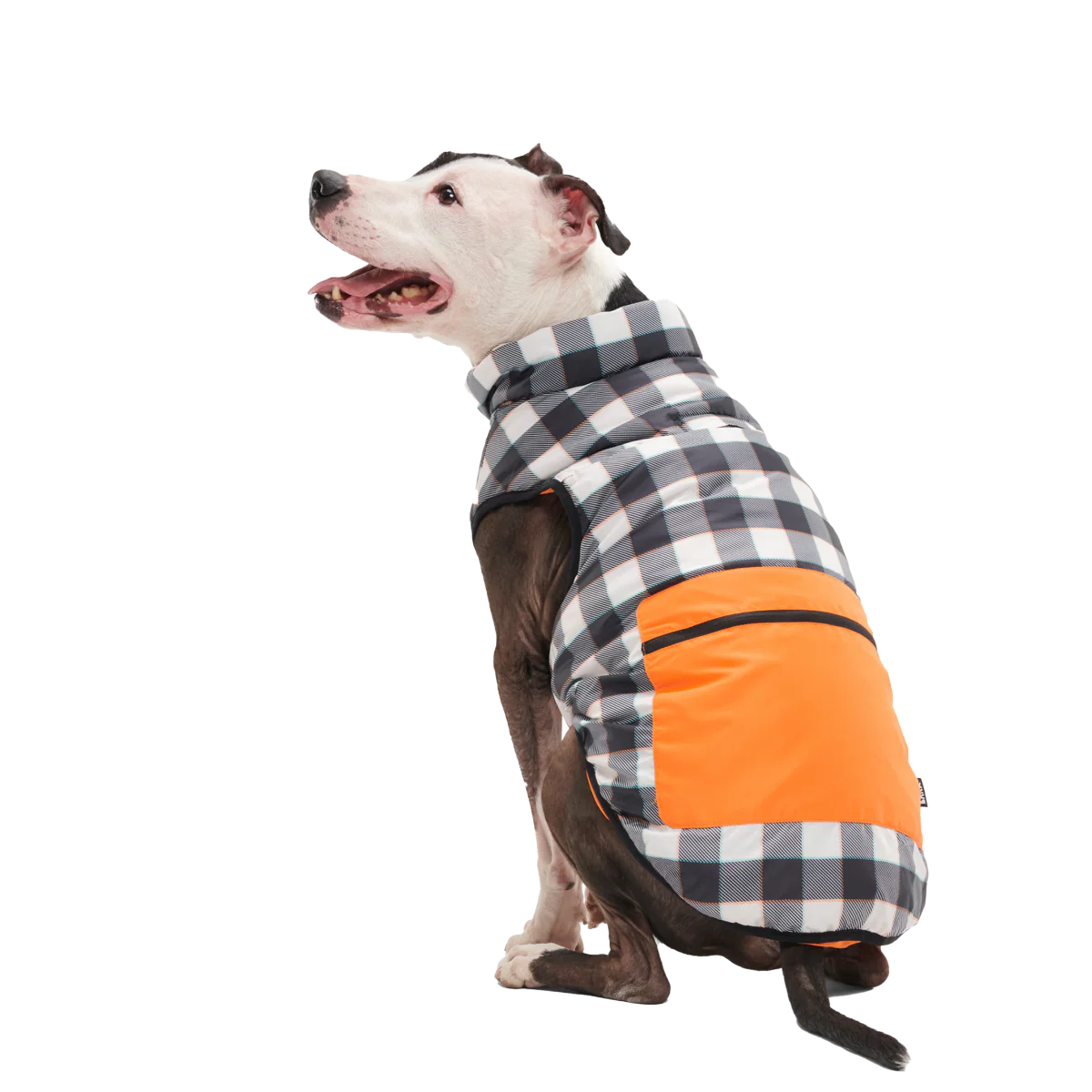 Plaid To The Bone Dog Puffer Vest