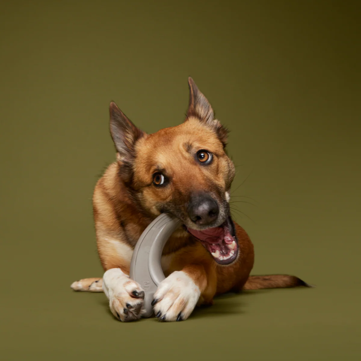Raptor Claw Durable Super Chewer Gnaw Dog Toy