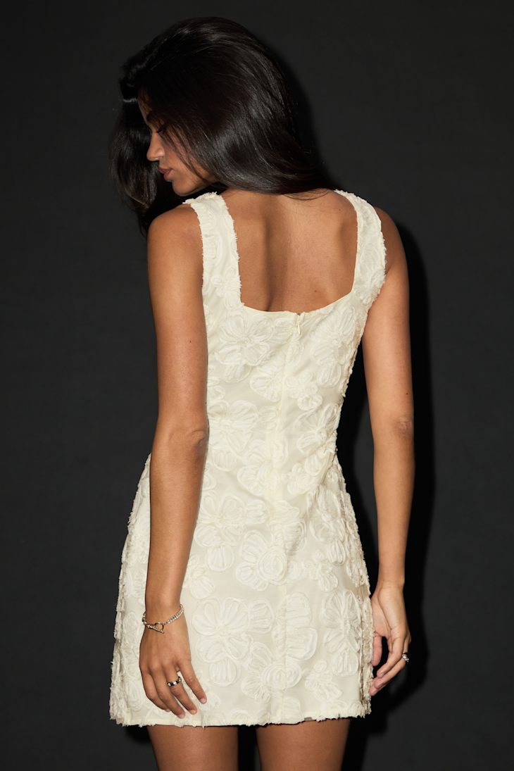Evara Ivory Floral Applique A-Line Mini Dress