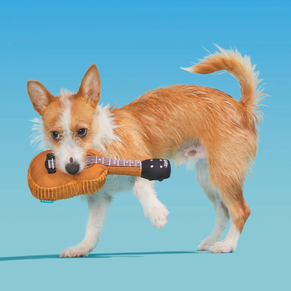 Awoo-Stic Guitar Plush Tug Dog Toy