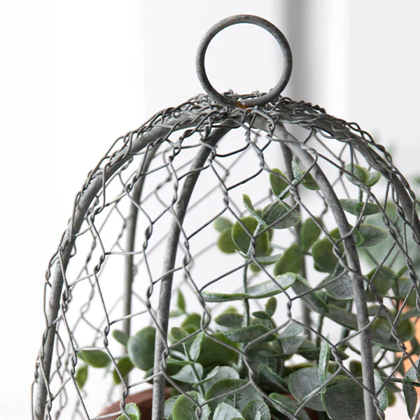 Chicken Wire 10 Inch Cloche