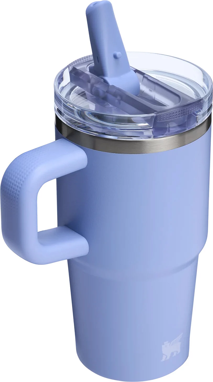 Stanley 20 oz. Quencher ProTour Flip Straw Tumbler - Hydrangea