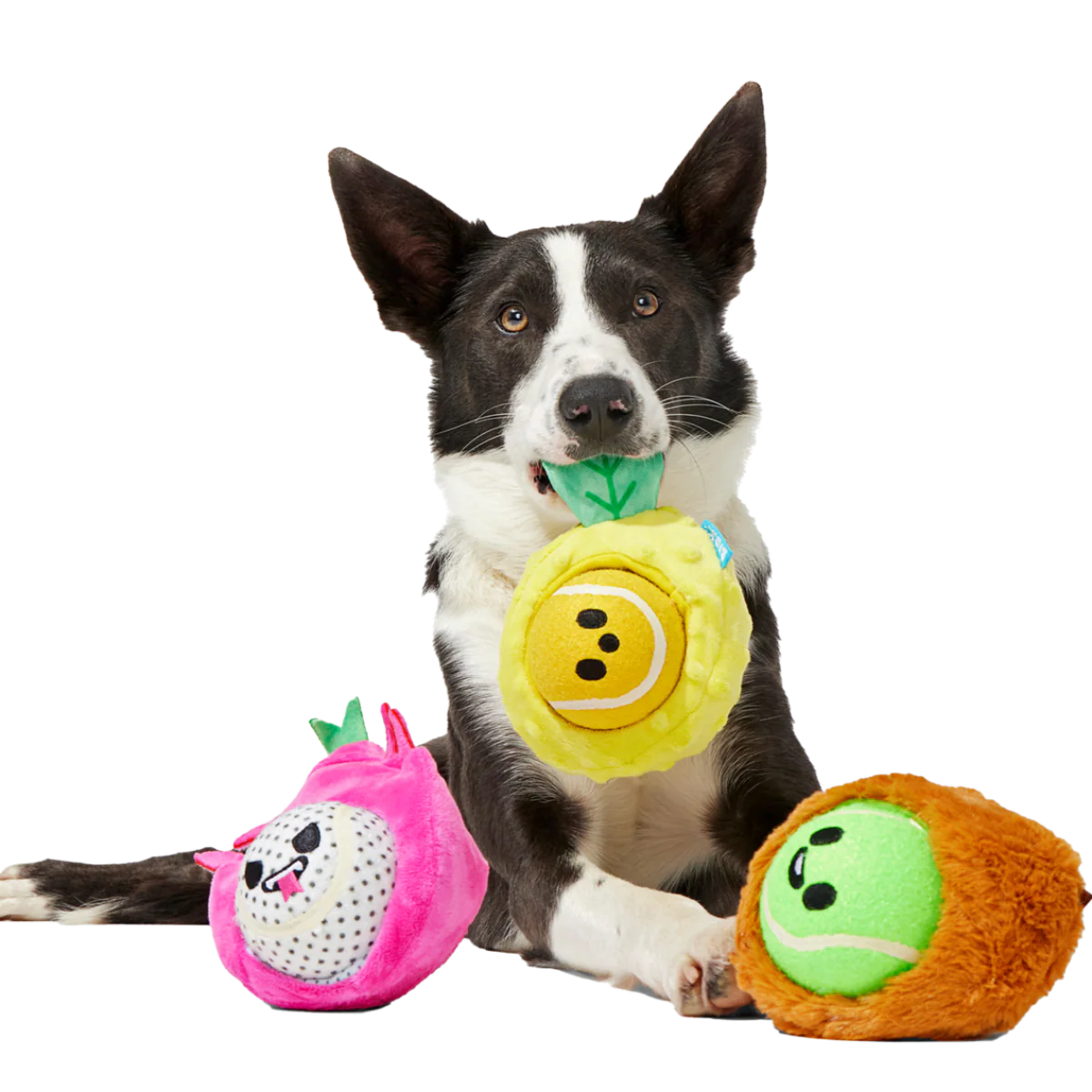 Fruity Cutie Tropical Trio Plush Multi-Part + Fetch Dog Toy