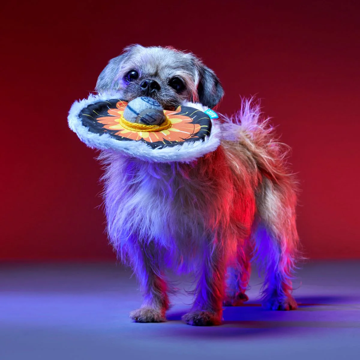 That's No Moon Plush Multi-Part + Fetch Dog Toy