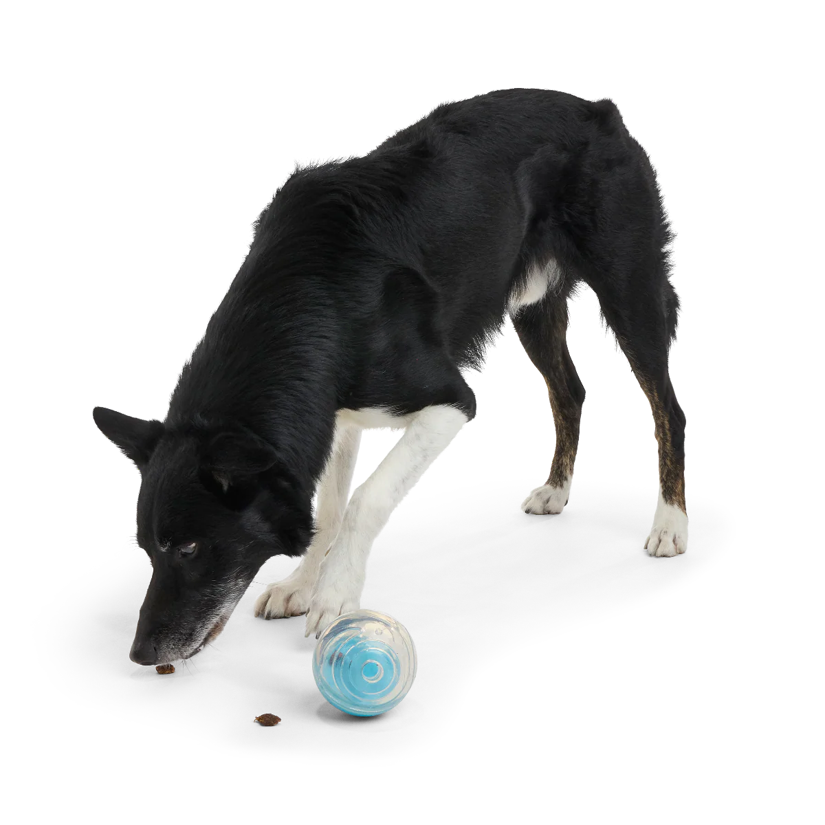 Apex Puzzler Super Chewer Durable Enrichment + Fetch Dog Toy