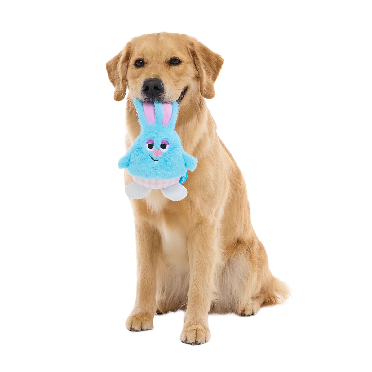 Little Bun Blue Plush Tug Dog Toy