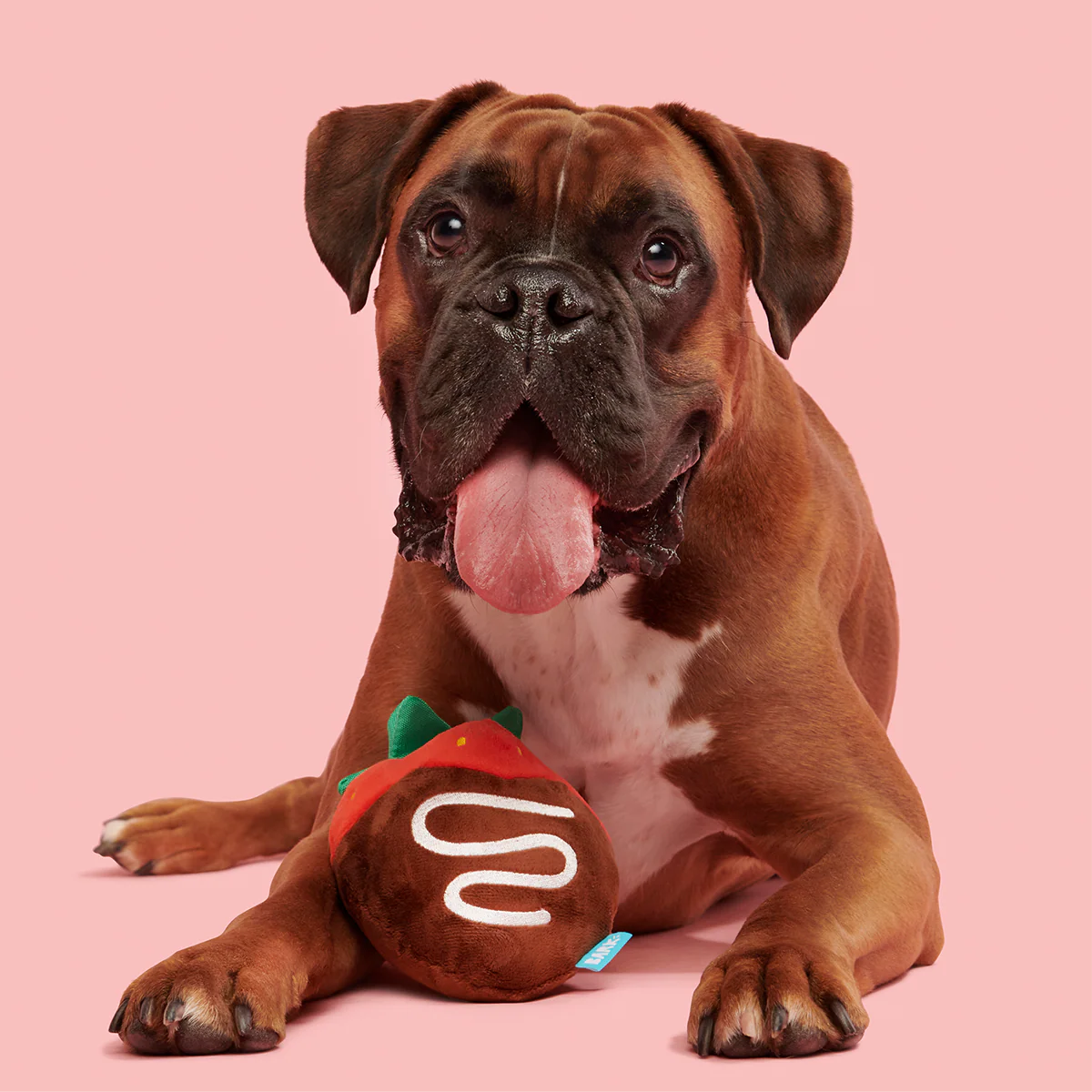 Chocolate Slobber Strawberry Plush Fetch Dog Toy