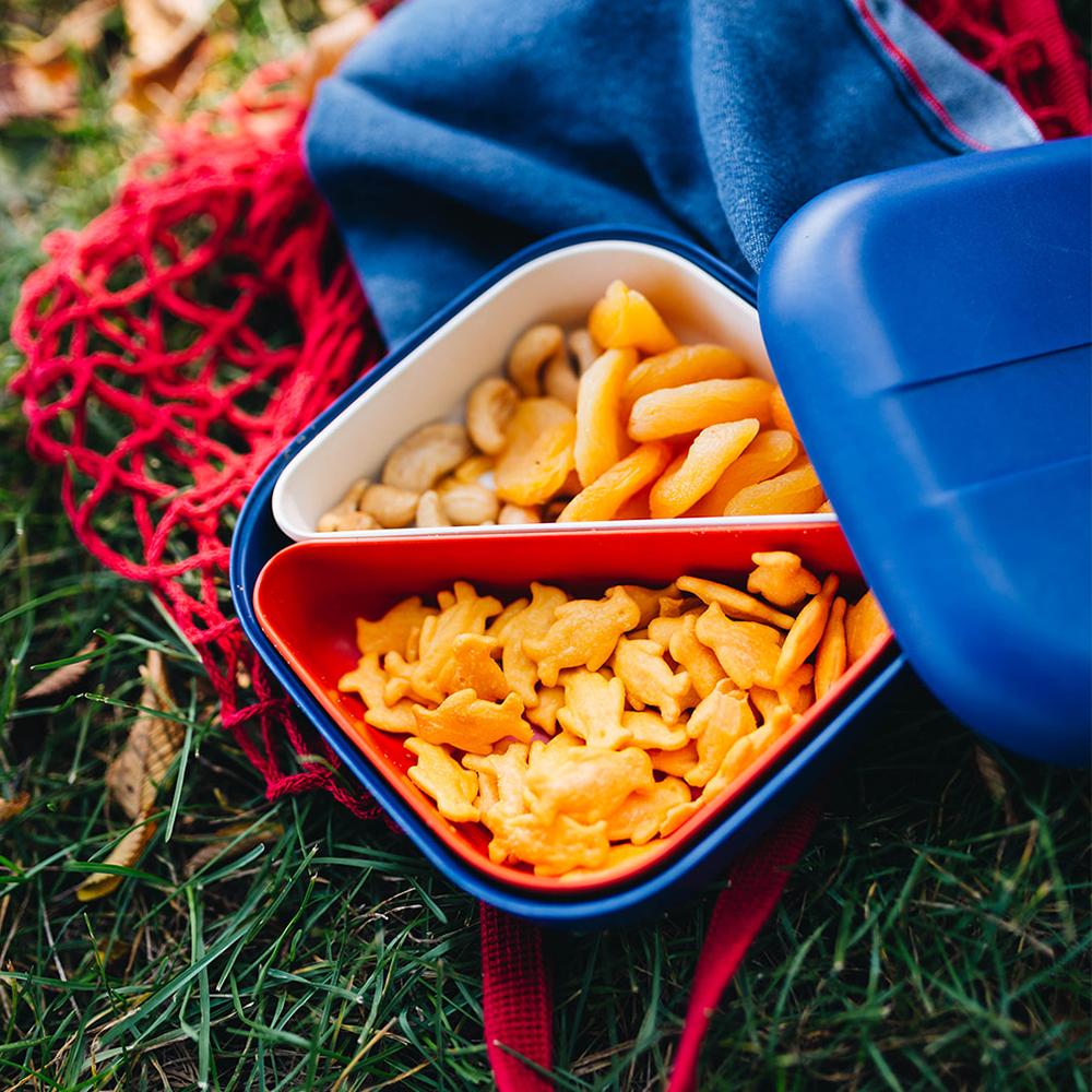 Vogeelle Square Bento Lunch Box - Royal Blue