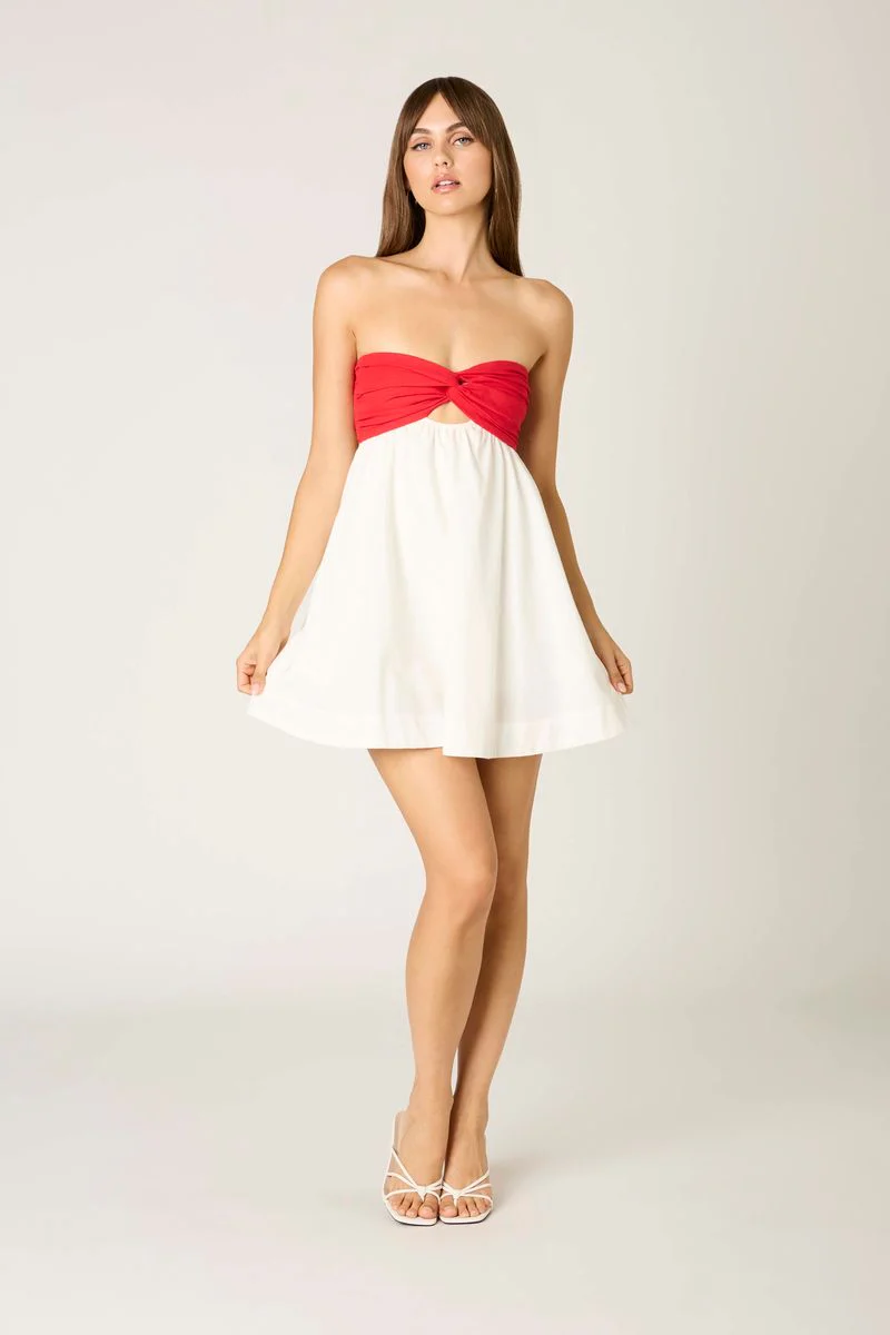 Two-Tone Strapless Mini Dress