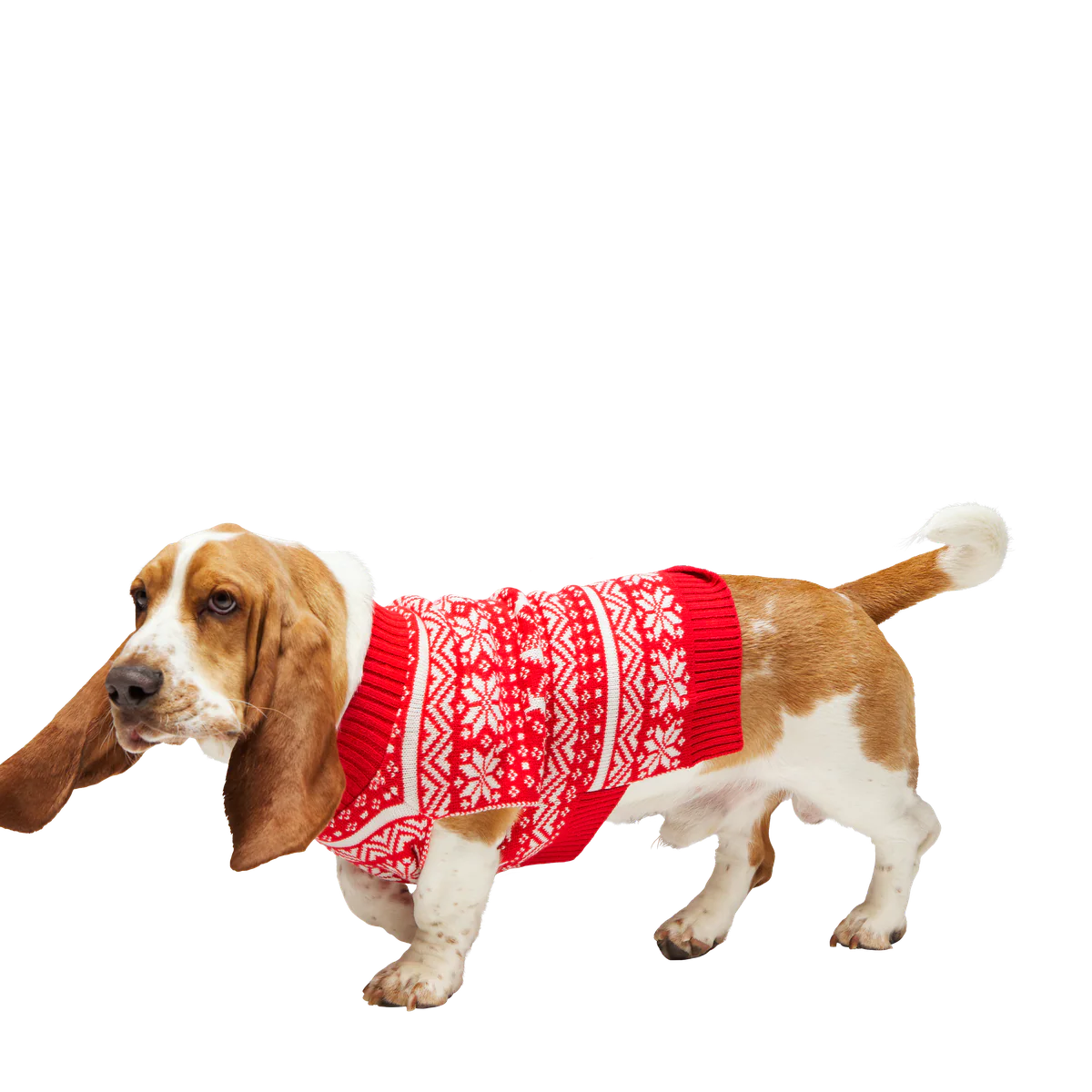 Holiday Sweater Wearable For Dogs