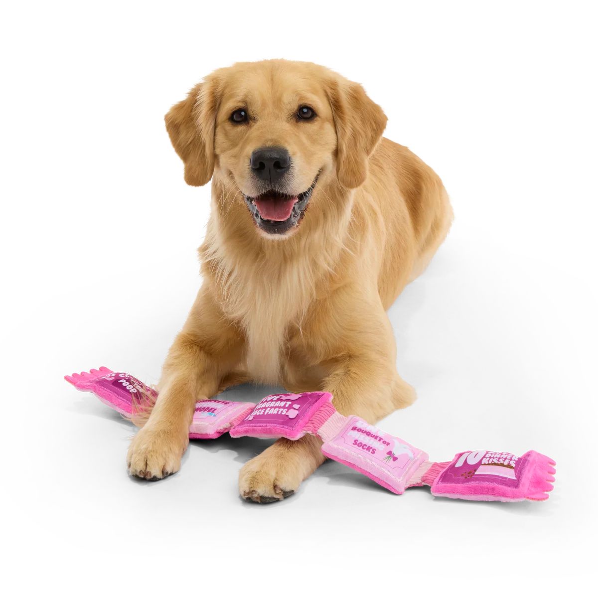 Puppy Love Coupons Plush Tug Dog Toy