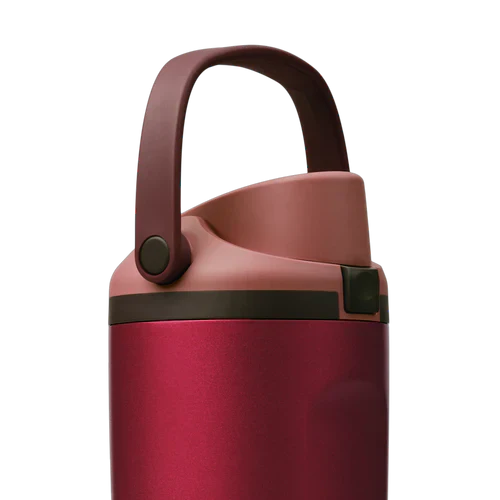 Owala Holiday Collection FreeSip® Sway Poinsettia 30oz