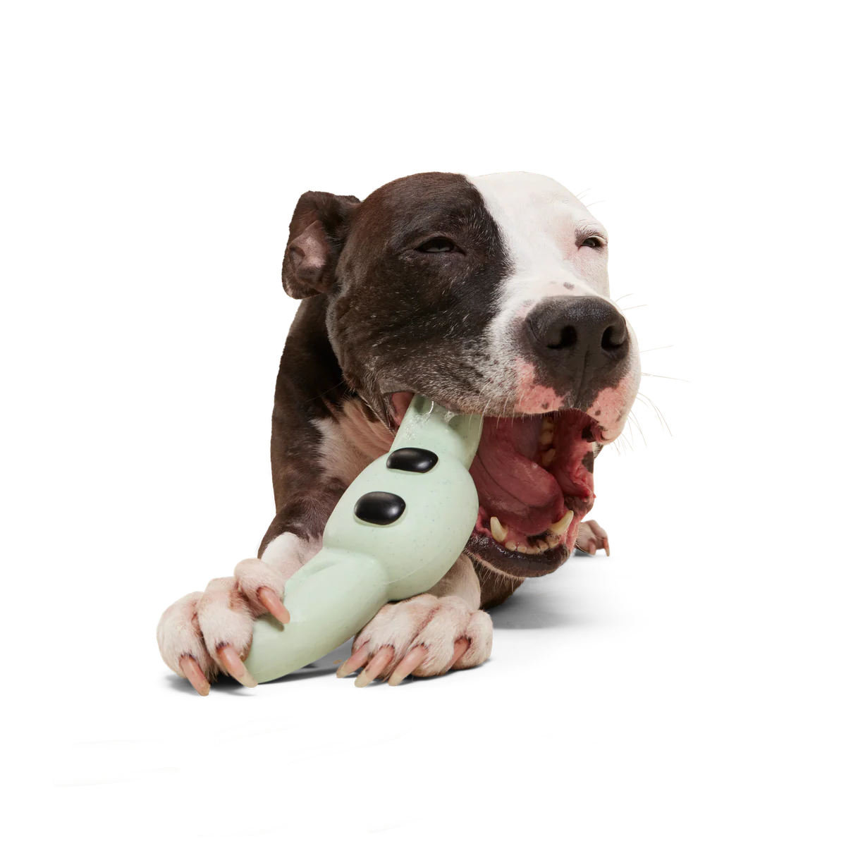 Chew And Chase Grogu™ Super Chewer Durable Gnaw Dog Toy