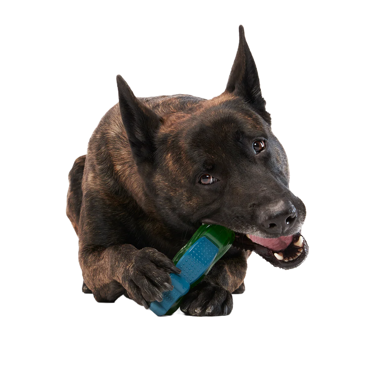 Crocness Monster Super Chewer Durable Gnaw Dog Toy