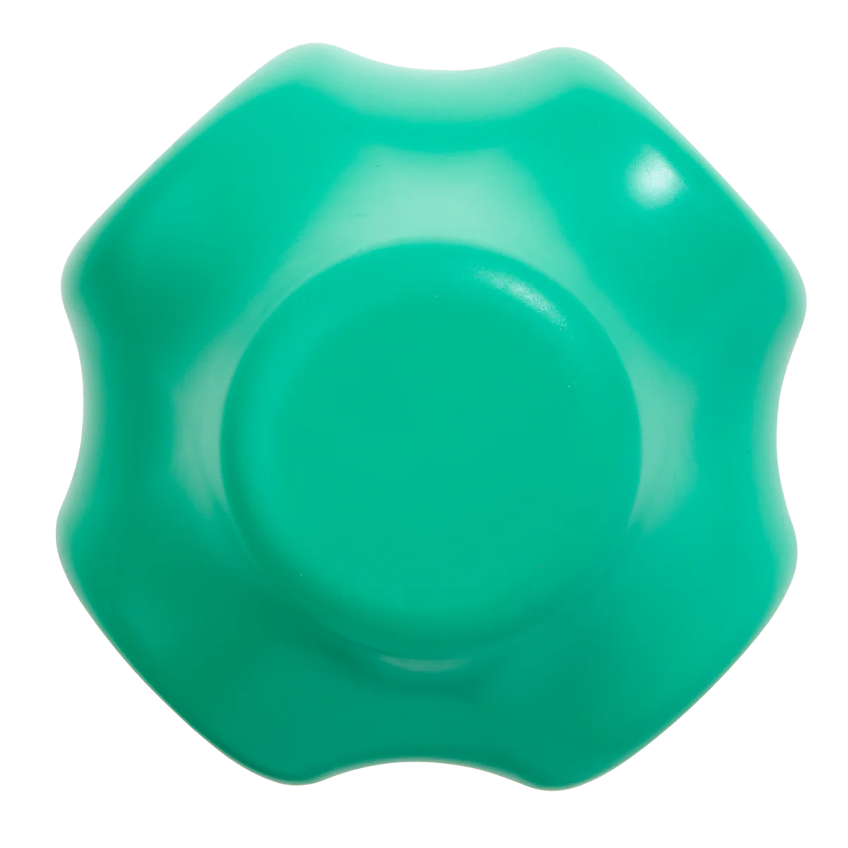 Evergreen Bolder Super Chewer Durable Gnaw Dog Toy