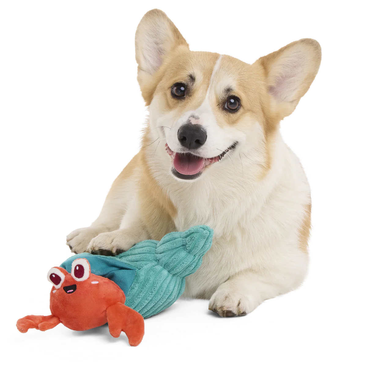 Herman the Hermit Plush Tug Dog Toy