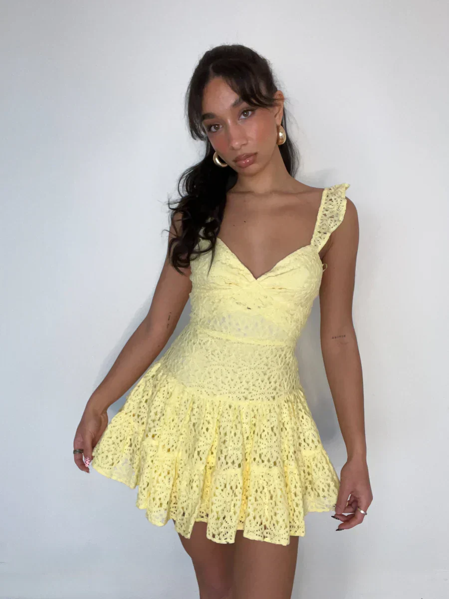 Liliana Eyelet Lace Mini Dress - luluinthesky