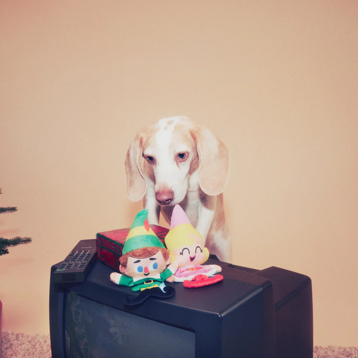 Buddy™ & Jovie™ Plush Multi-Part Dog Toy