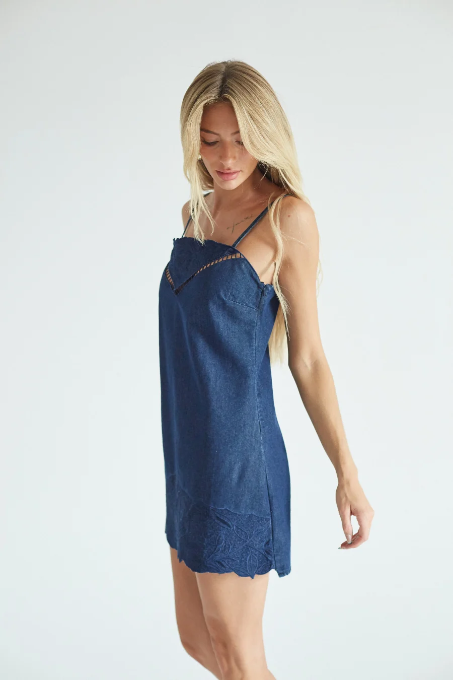 Tessie Embroidered Denim Mini Dress