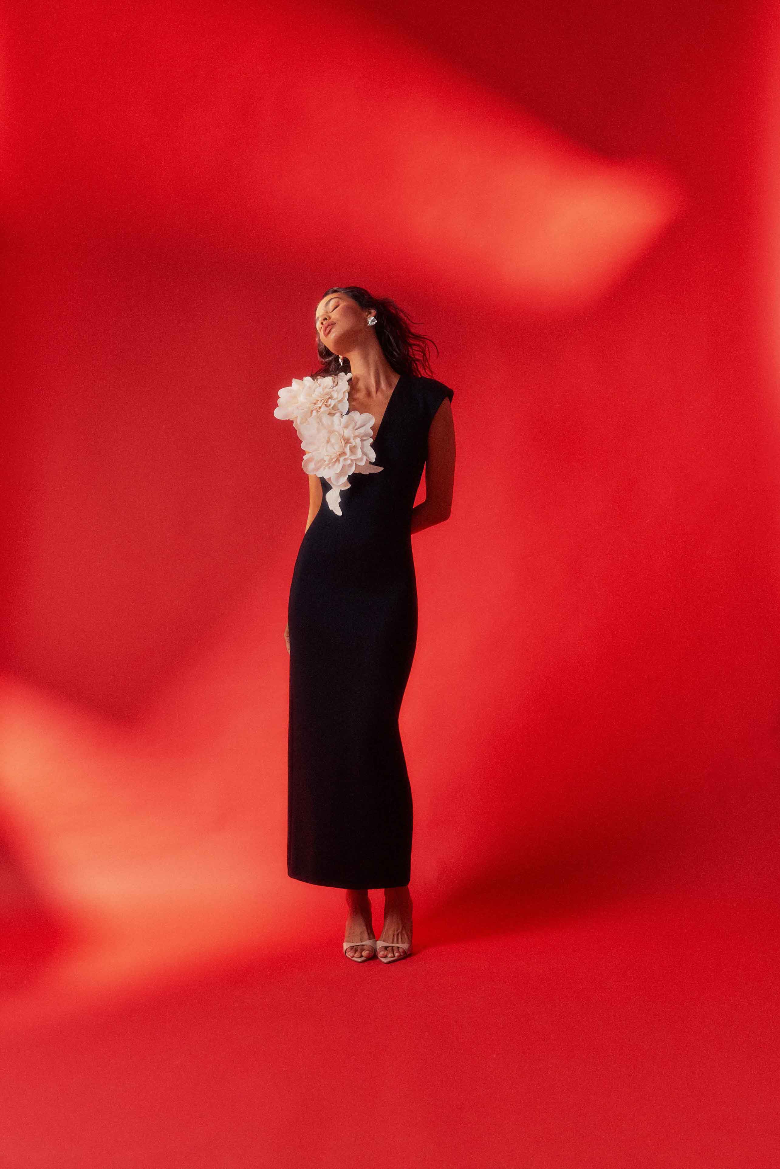 Zahara V-Neck Gown in Black