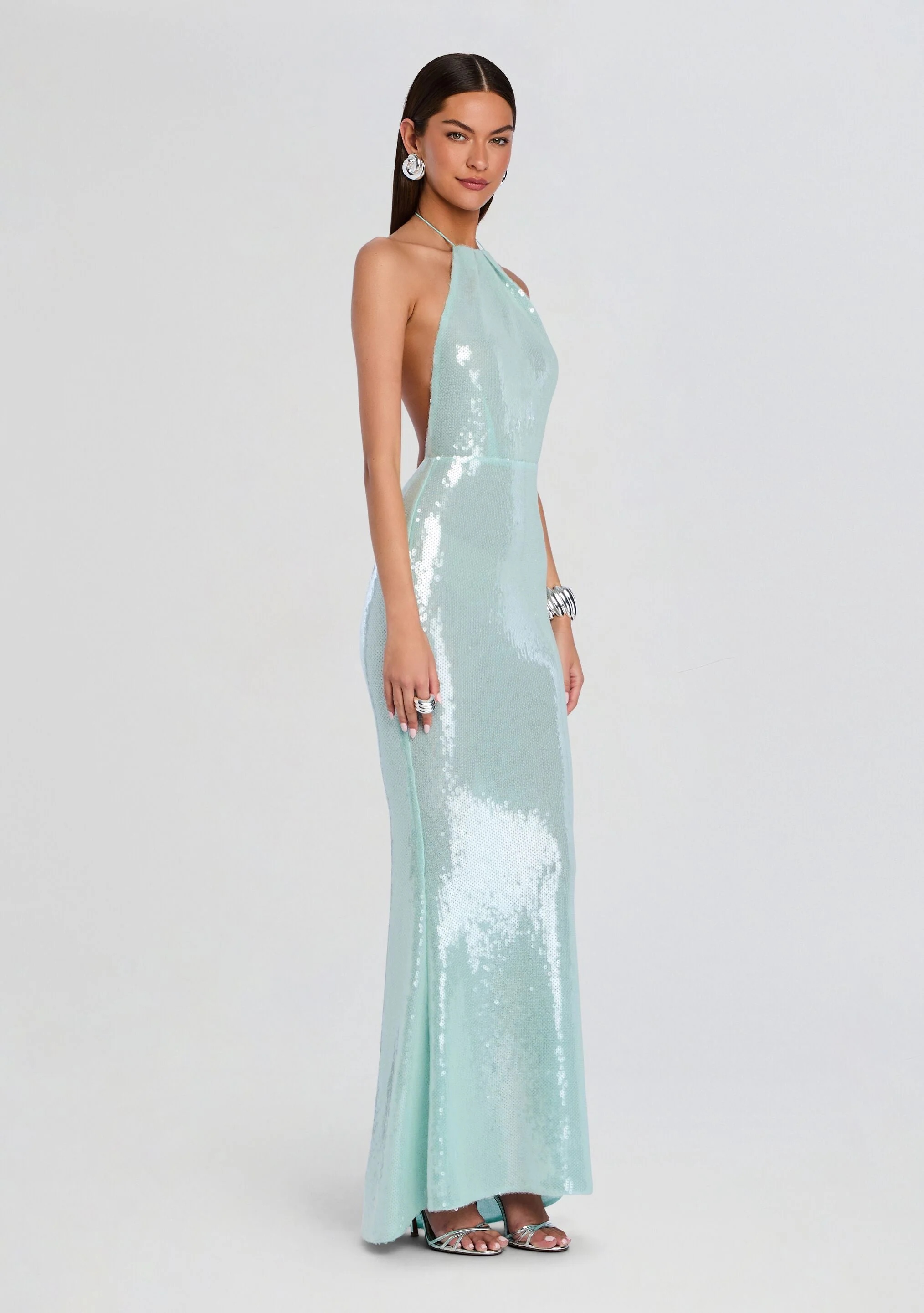 Elexa Sequin Dress