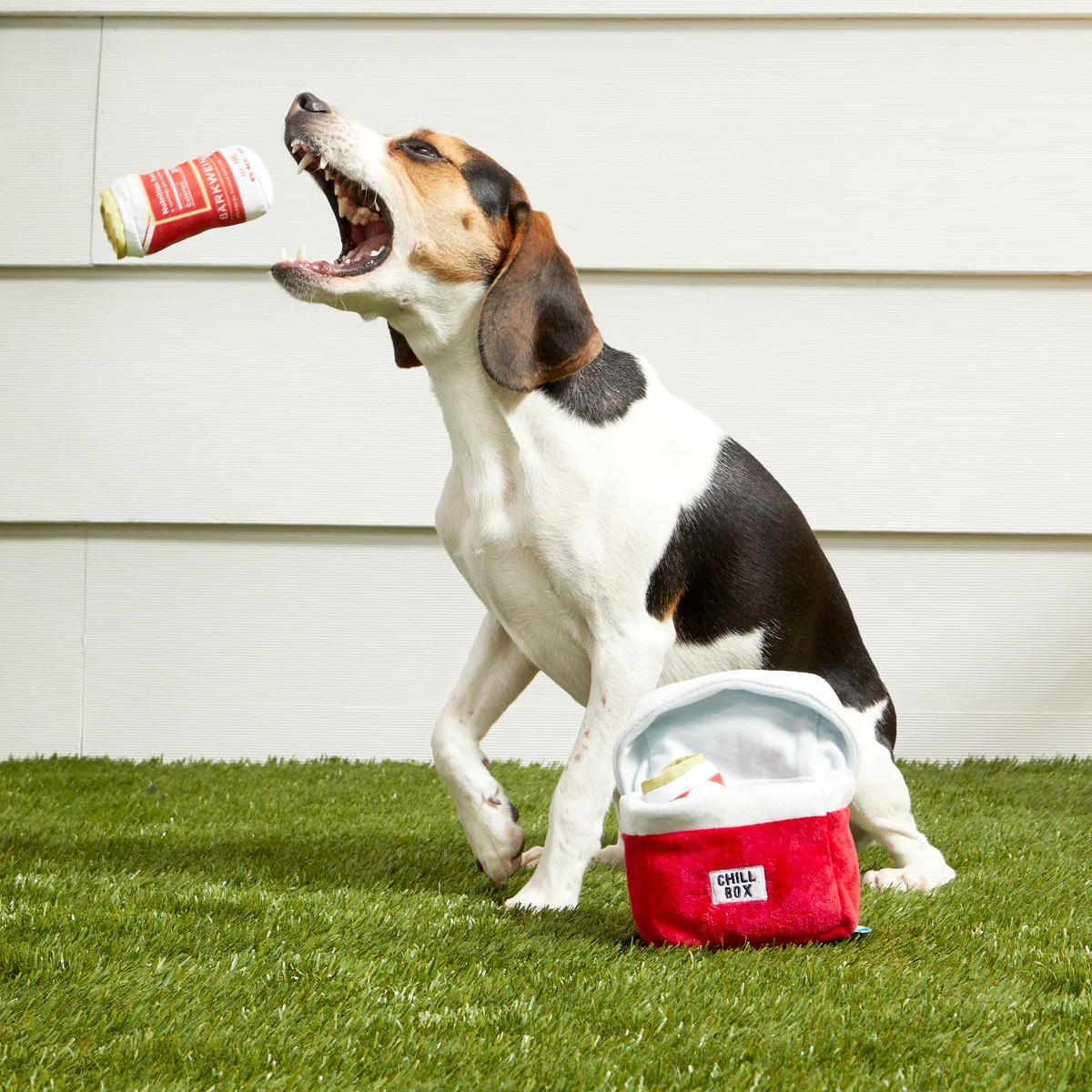 Bite Lite Beer Cooler Plush Multi-Part + Enrichment Dog Toy