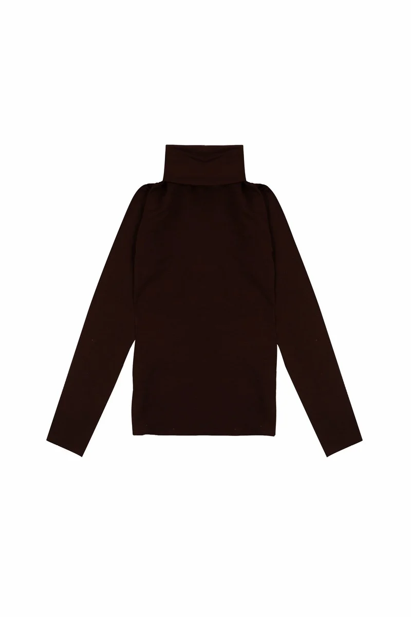 Long-Sleeve Turtleneck Sweater