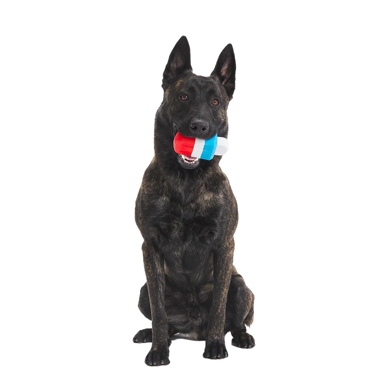 Red White + Chew Pupsicle Super Chewer Durable Gnaw Dog Toy