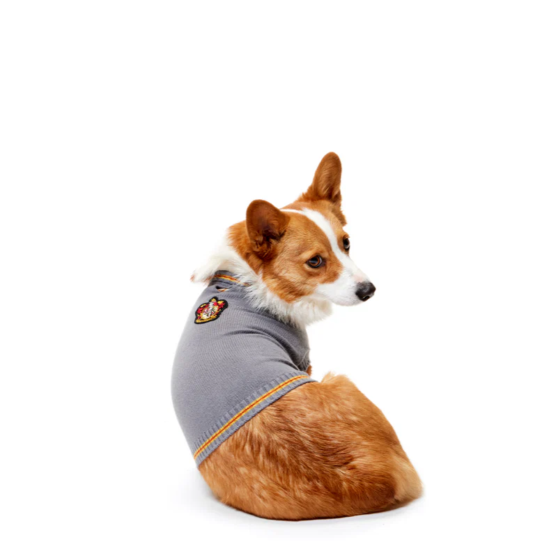 HARRY POTTER™ House Dog Sweater