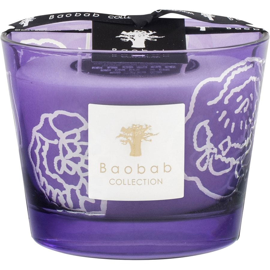 Baobab Świece zapachowe Candle Roses Dark