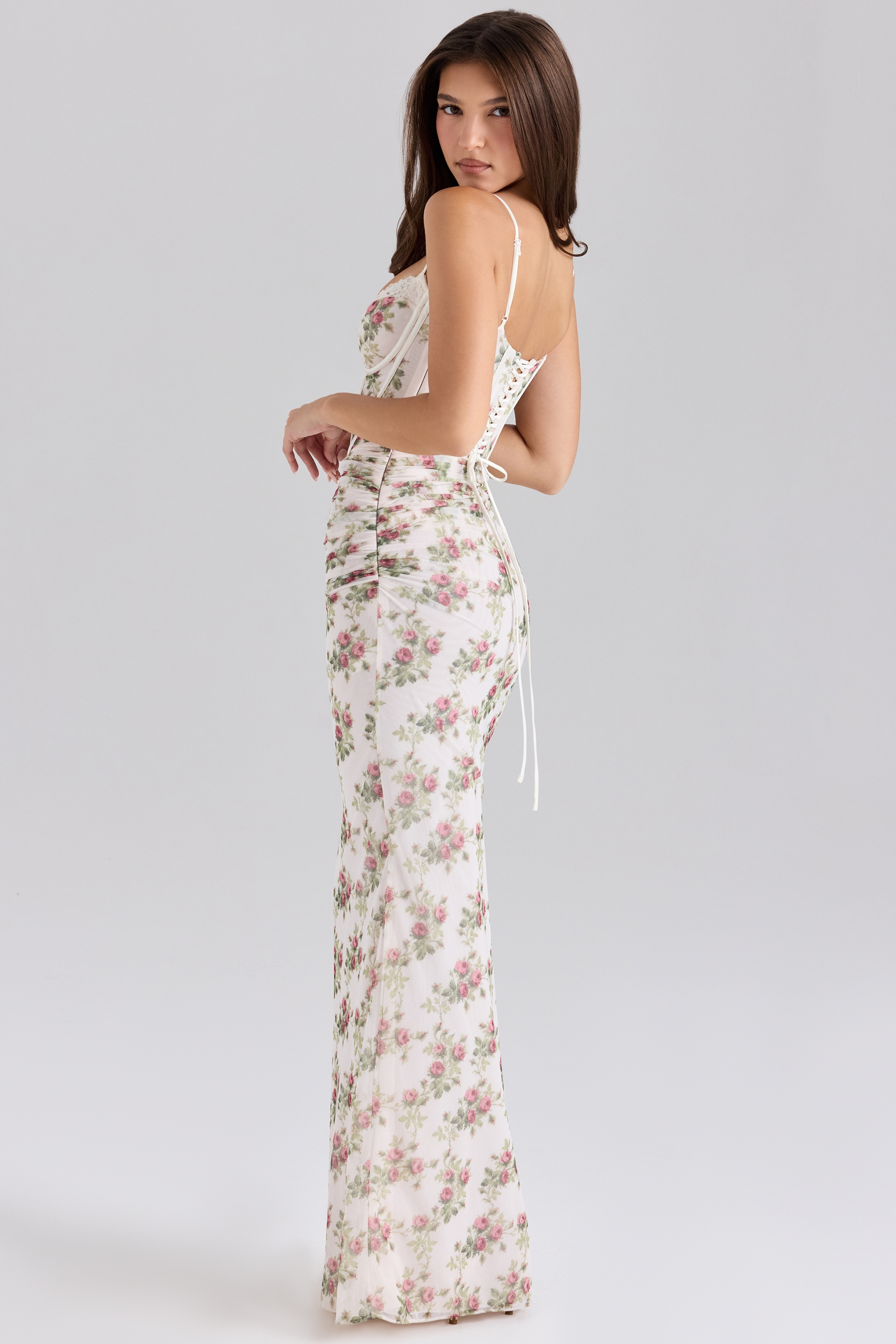 Cream Rose Print Mesh Maxi Dress