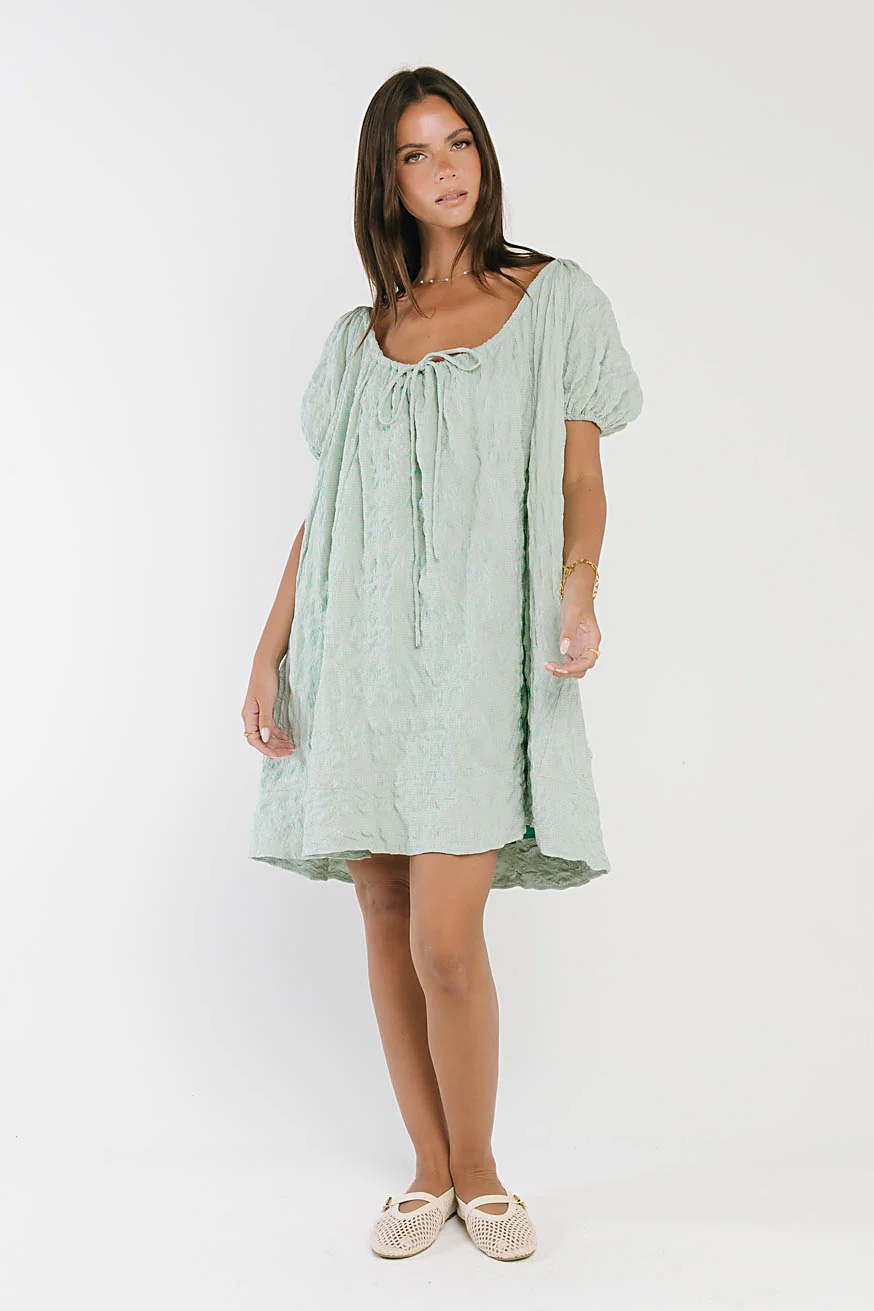 Charlie Gingham Mini Dress in Blue