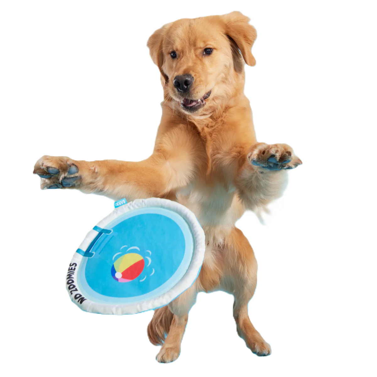 Deep End Disc Plush Fetch Dog Toy