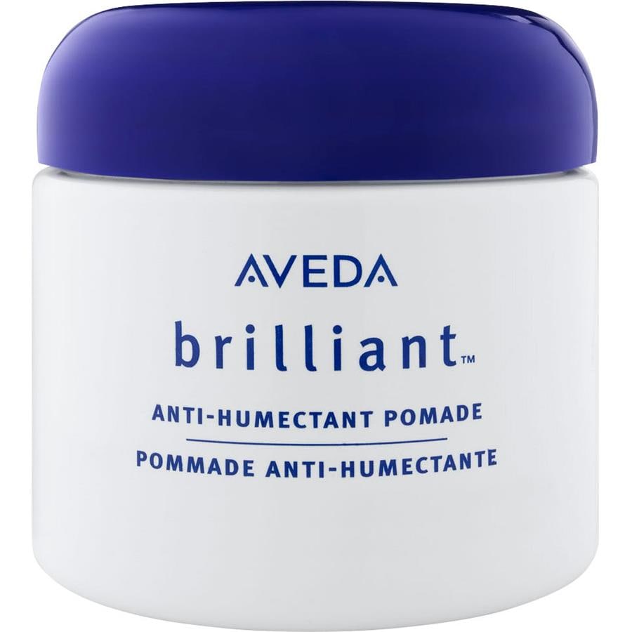 Aveda Styling Anti-Humectant Pomade Brilliant
