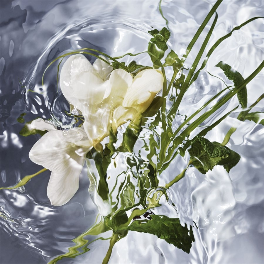 GUERLAIN Aqua Allegoria Eau de Toilette Spray Herba Fresca
