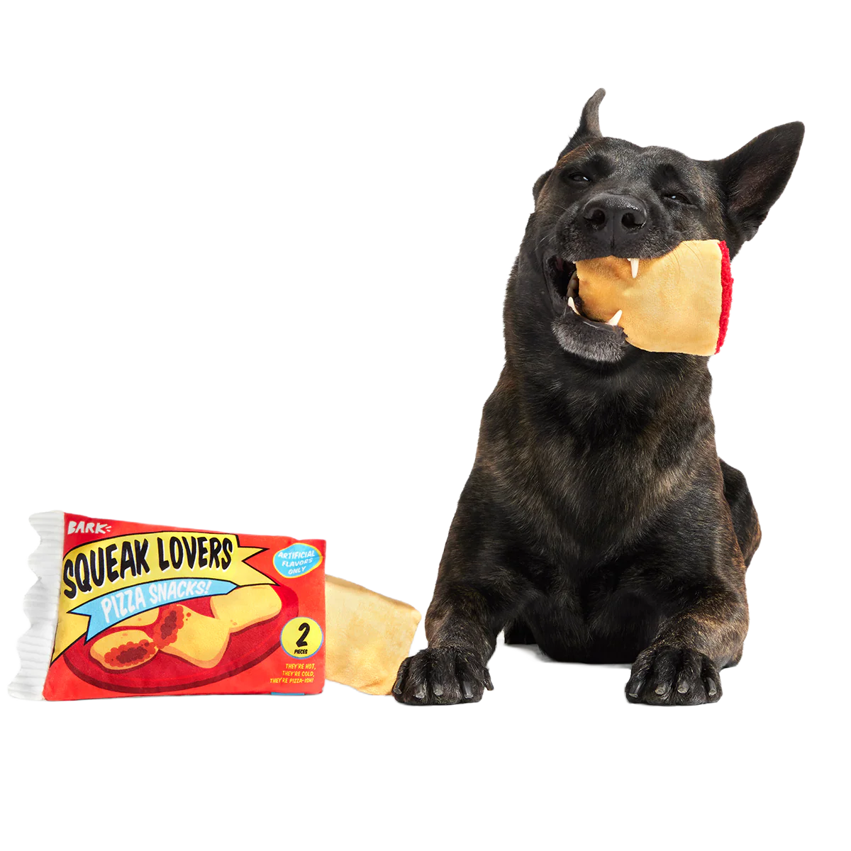 Squeak Lovers Pizza Snacks Plush Multi-Part + Enrichment Dog Toy