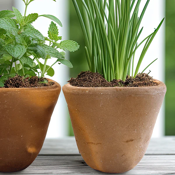 Rustic Kitchen Herb Planters, Pick Your Style