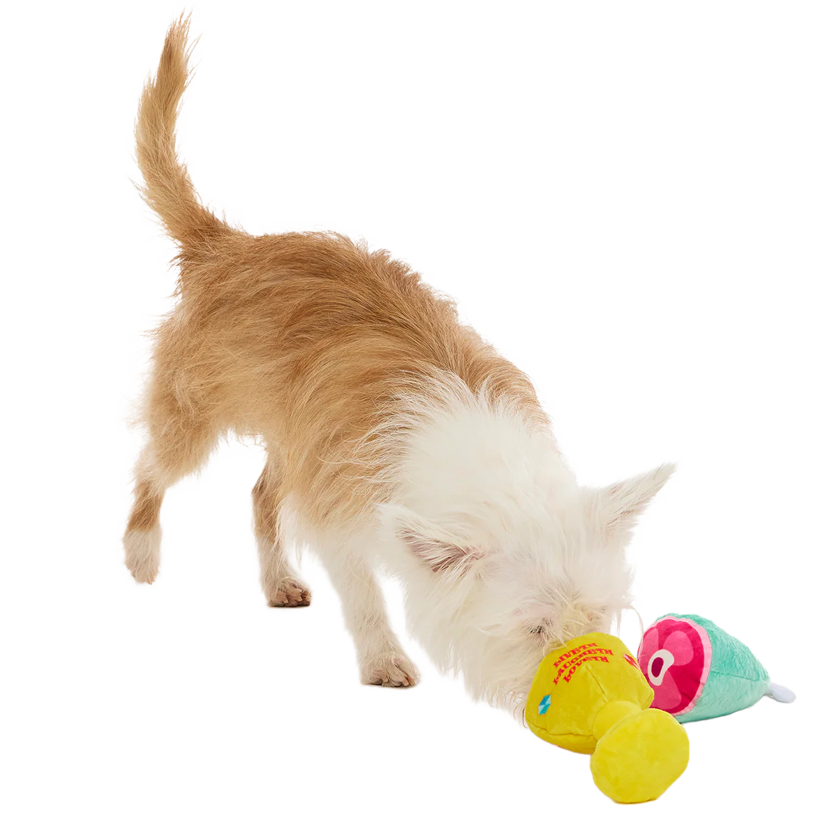 Feast Fetched For A King Plush Multi-Part Dog Toy