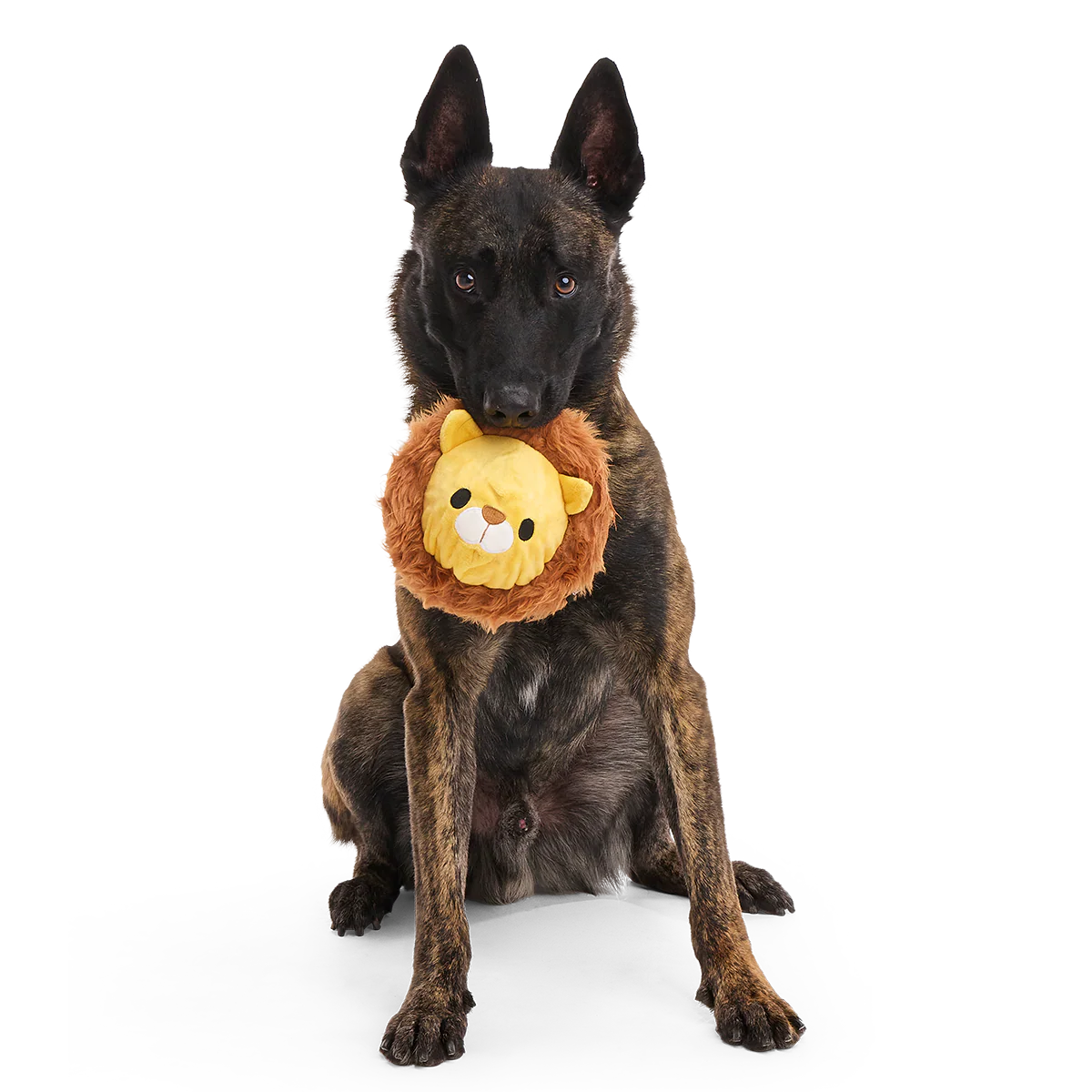 Lionel Lion Durable Super Chewer 2-in-1 Rip and Reveal + Fetch Dog Toy