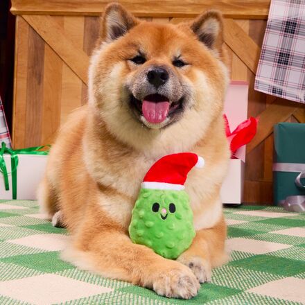 Pickle Claus Plush Tug Dog Toy