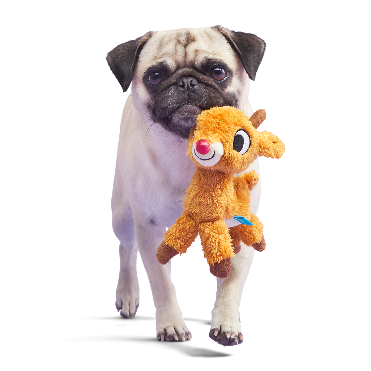 Runnin' Rudolph® Plush Tug Dog Toy