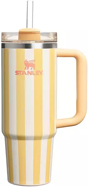 Stanley 30 oz. Quencher H2.0 FlowState Tumbler - Oasis Collection - luluinthesky