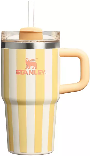 Stanley 20 Oz. Quencher H2.0 Flowstate Tumbler - Oasis Collection