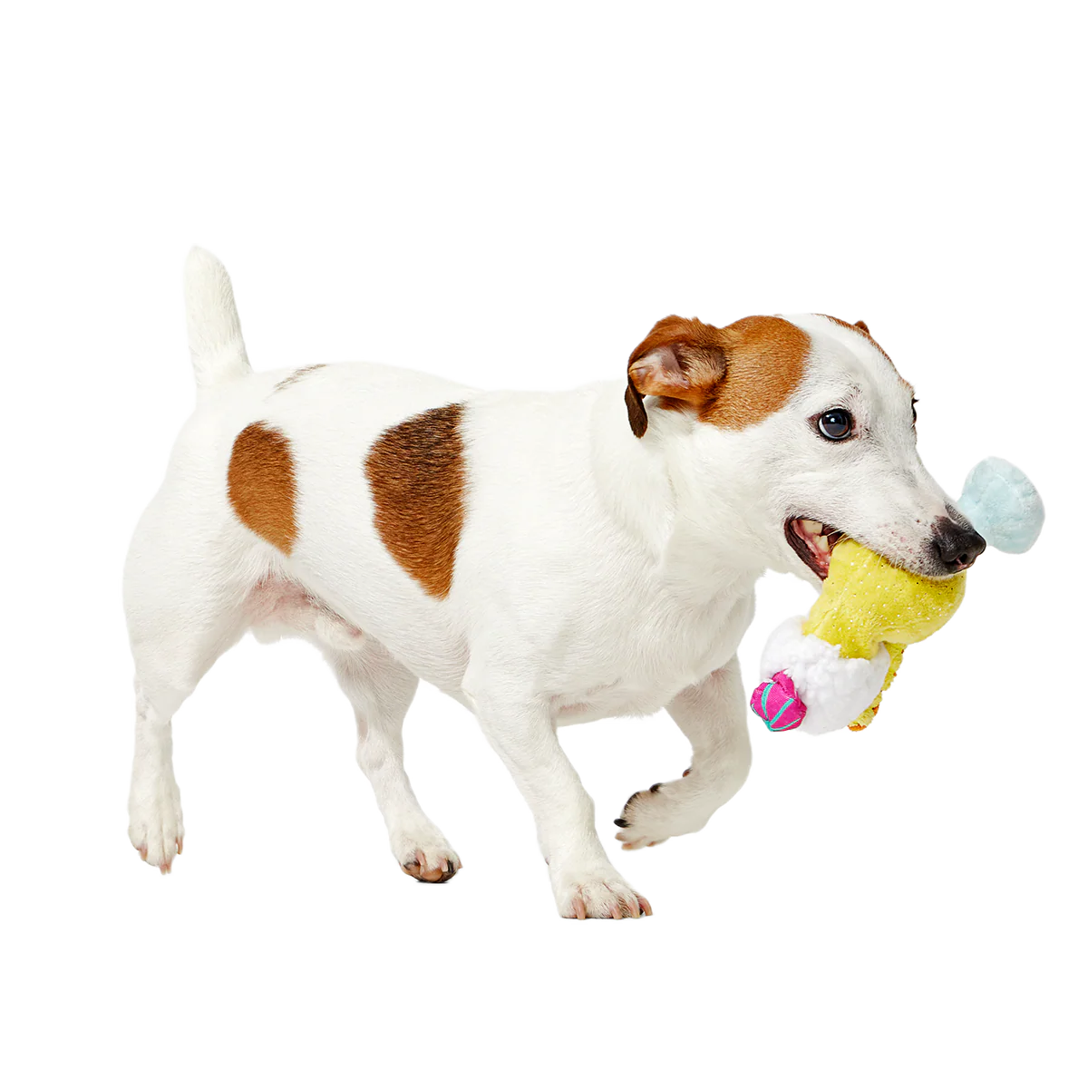 Cocktail Club, Plush Cocktail Monthly Dog Toys